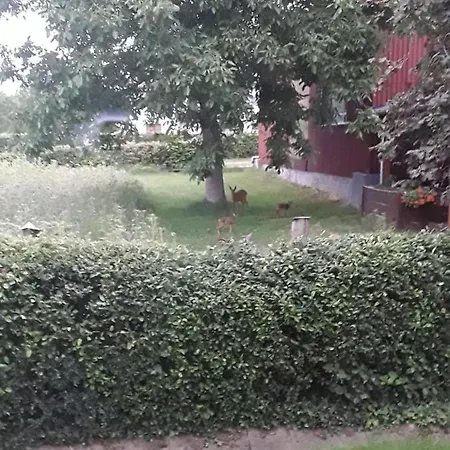 Appartement Wanderurlaub Oder Erholung Auf Dem Pontohof Im Lahntal Bei