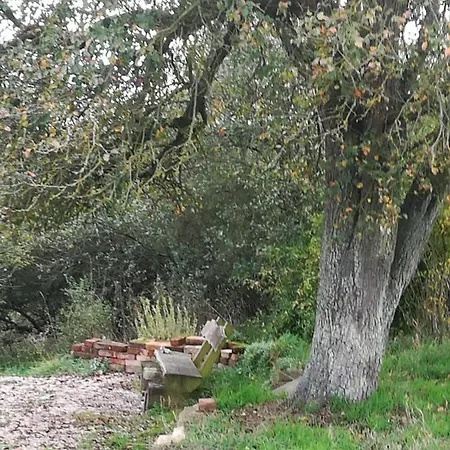 Wanderurlaub Oder Erholung Auf Dem Pontohof Im Lahntal Bei